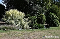 VBS_3717 - Angoli del Valentino lungo il Po